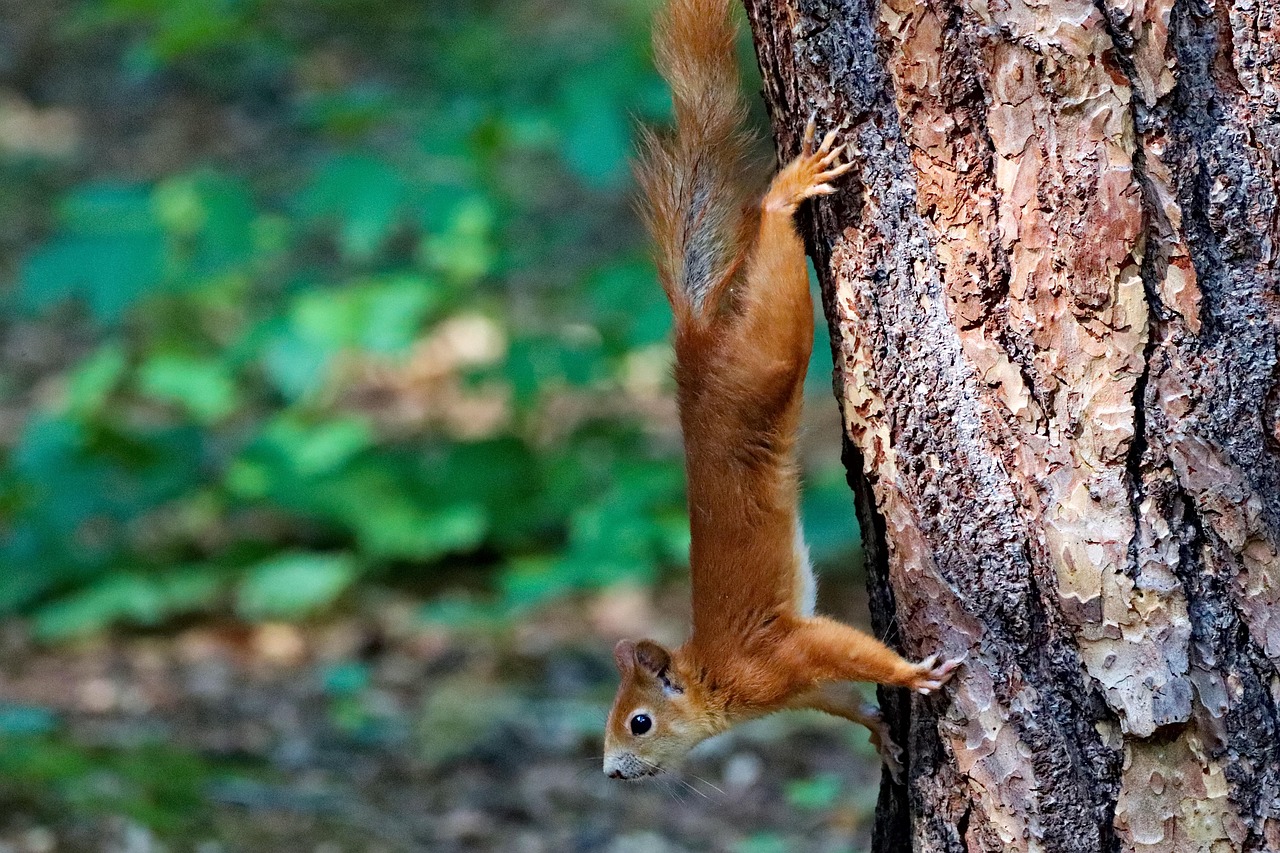 découvrez le monde de la méthode agile, une approche innovante pour optimiser la gestion de projet. apprenez comment améliorer la collaboration, gagner en flexibilité et répondre rapidement aux besoins de vos clients grâce à des principes agiles adaptés à votre équipe.