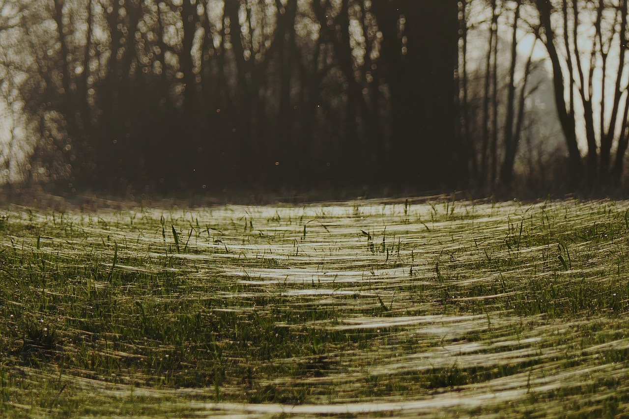 découvrez les meilleures techniques pour créer des sales threads percutants qui captivent votre audience et boostent vos ventes. apprenez à structurer vos messages pour transformer des prospects en clients fidèles.