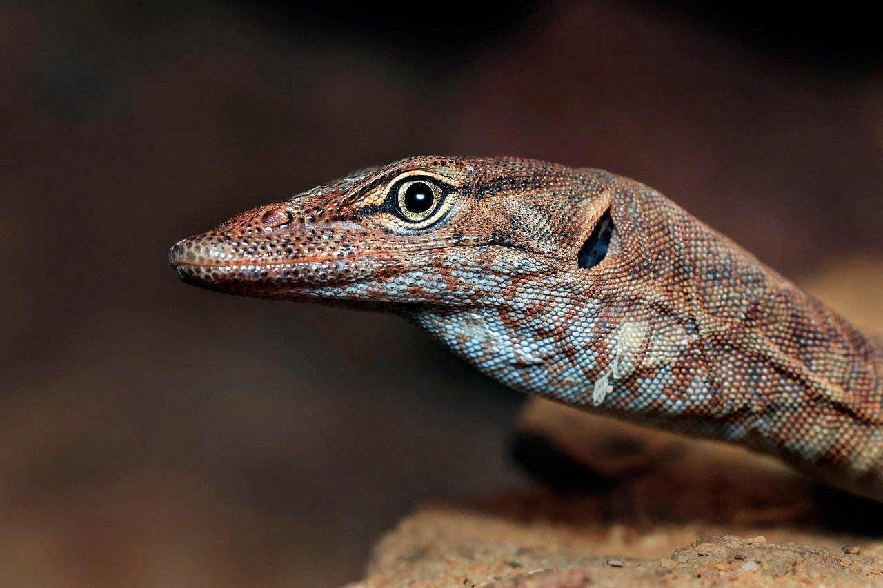 découvrez ce que sont les économies d'échelle, comment elles permettent de réduire les coûts unitaires grâce à une production accrue, et leur importance dans la compétitivité des entreprises.