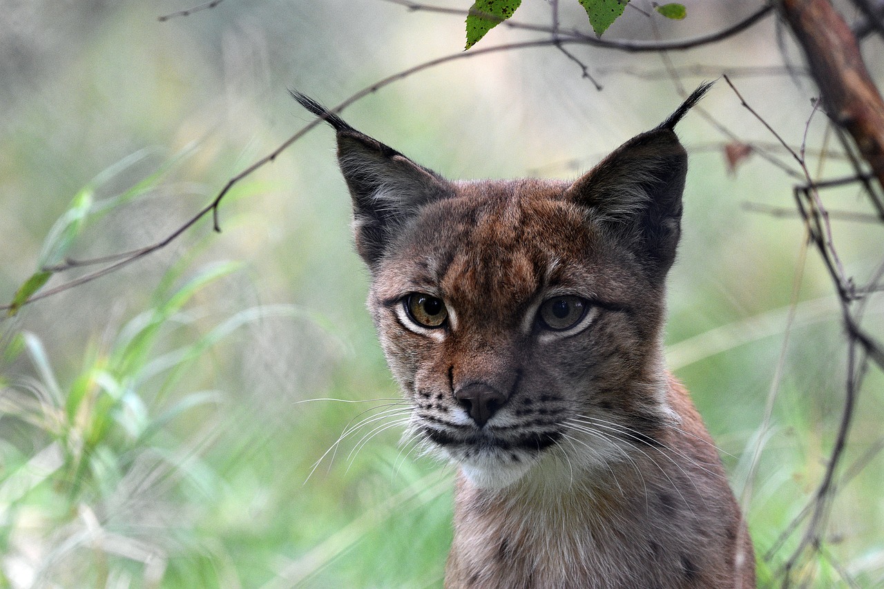 découvrez comment la méthode agile transforme la gestion de projets en favorisant la flexibilité, la collaboration et l'innovation. apprenez les principes clés de l'agilité et comment les appliquer pour améliorer la productivité de votre équipe.