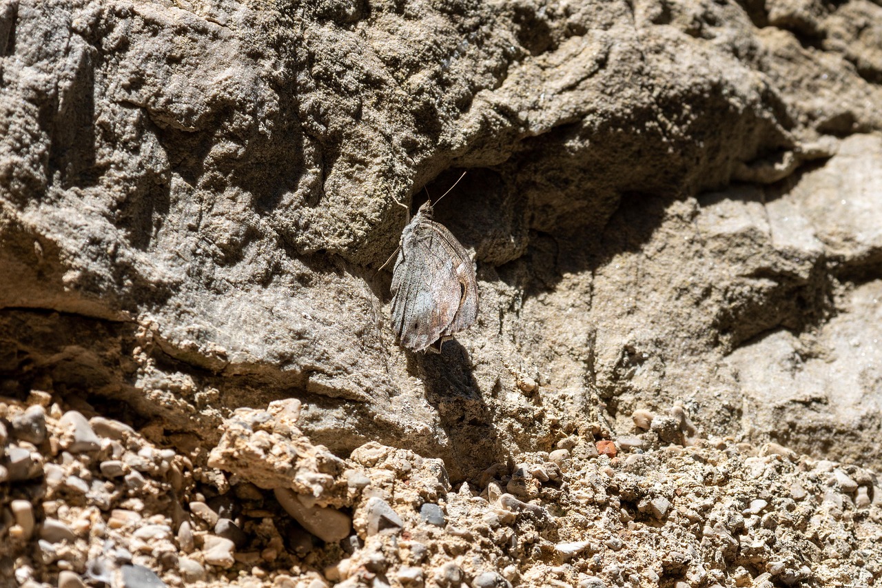 découvrez comment adapter votre offre aux spécificités de chaque marché pour améliorer votre compétitivité et répondre efficacement aux besoins locaux.