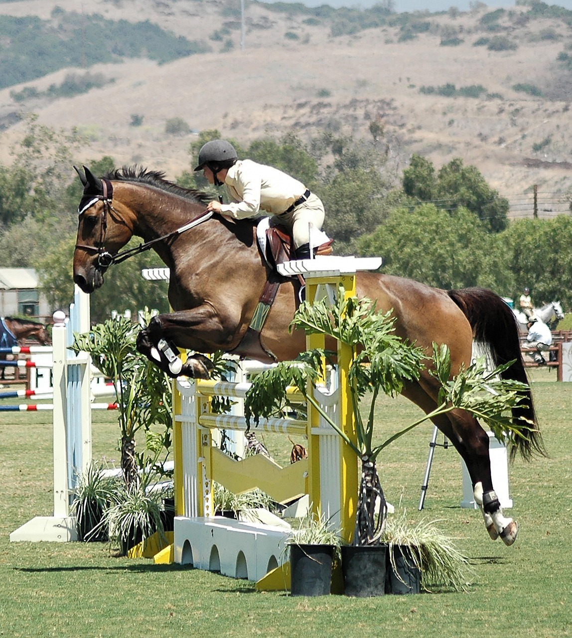 découvrez comment réaliser une analyse de la concurrence efficace pour identifier les forces et faiblesses de vos rivaux et améliorer votre stratégie d’entreprise.