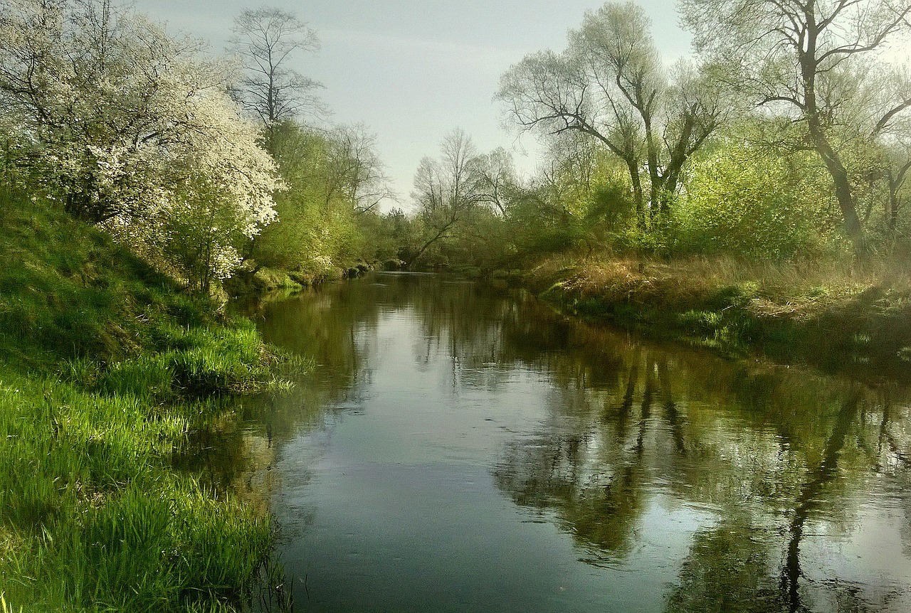 découvrez l'univers du licensing, un processus essentiel pour protéger vos droits de propriété intellectuelle. apprenez comment obtenir des licences pour vos créations et exploiter des marques de manière légale et avantageuse. explorez les stratégies de licensing pour valoriser vos produits et maximiser votre revenu.