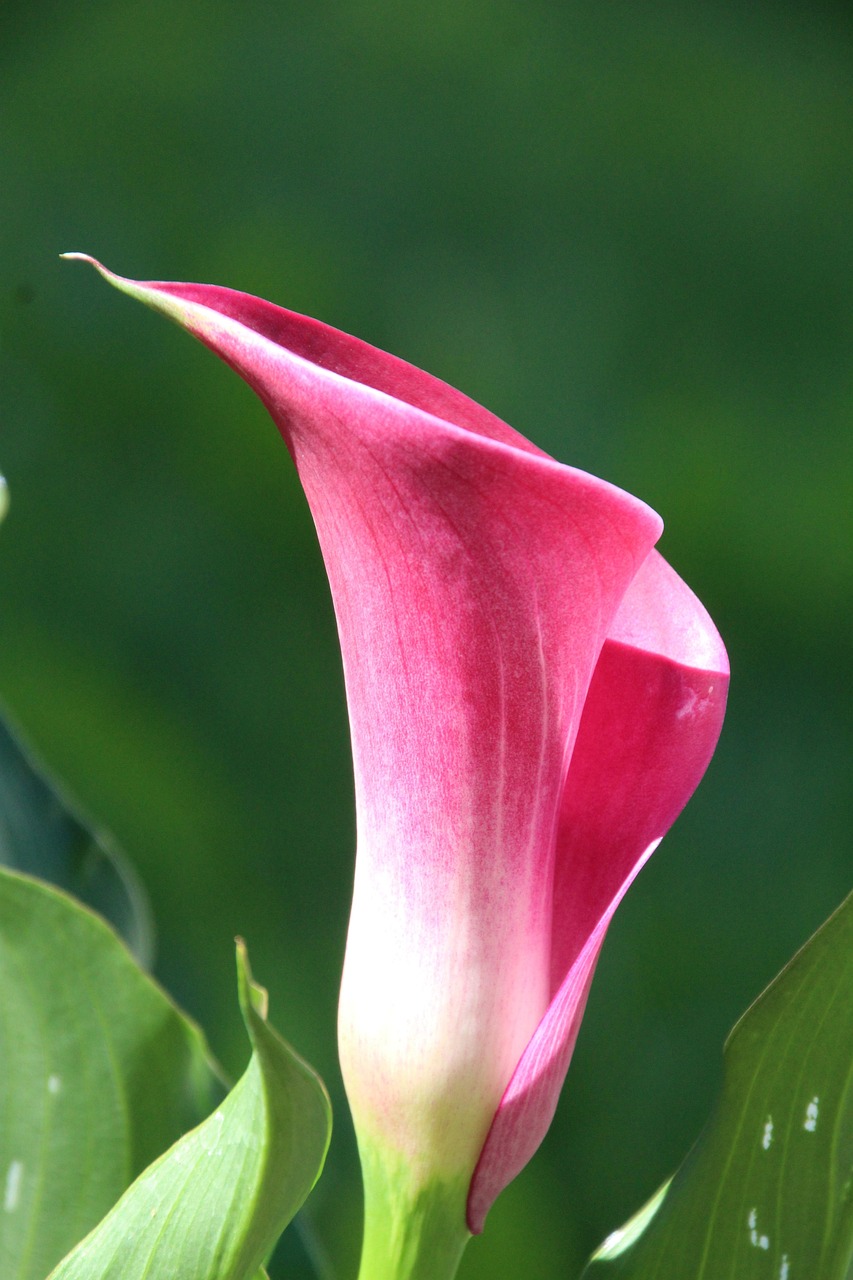 découvrez comment optimiser votre sales funnel pour augmenter vos conversions, attirer plus de prospects et booster vos ventes grâce à des stratégies efficaces adaptées à votre entreprise.