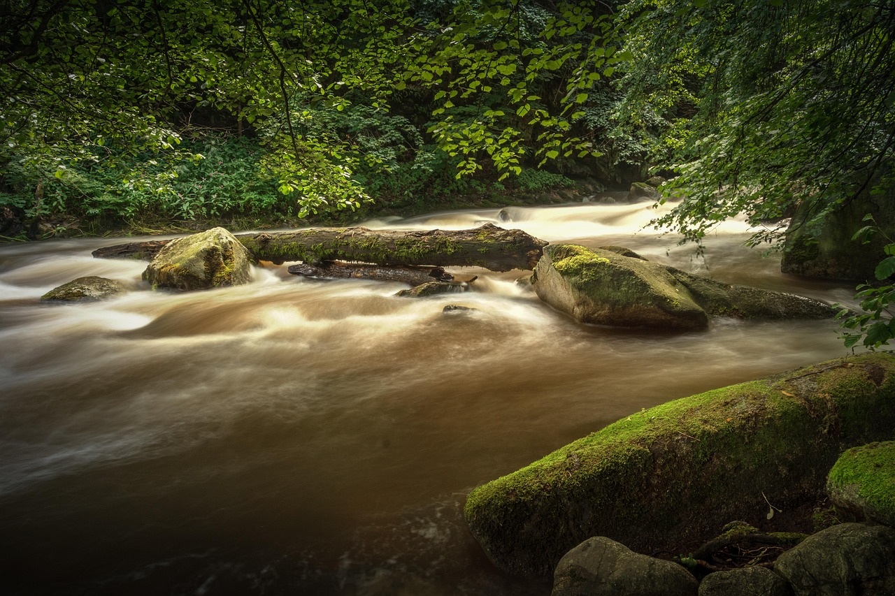 découvrez thales, un leader mondial des hautes technologies dans les domaines de la défense, de l’aéronautique, de l’espace et de la sécurité. innovation, expertise et solutions de pointe au service de la confiance.
