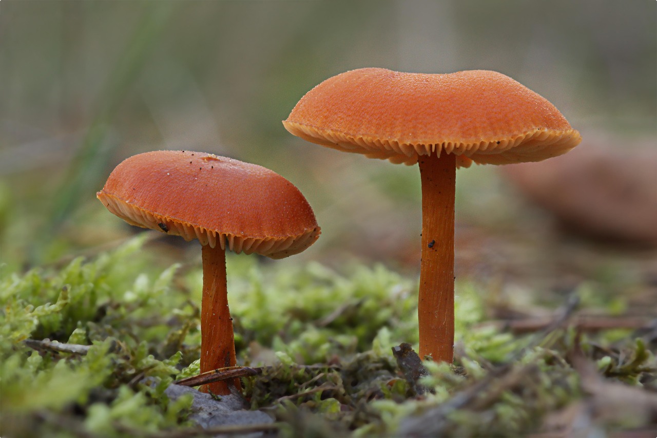 découvrez ce qu'est un sales funnel, son importance pour optimiser votre processus de vente et comment le mettre en place efficacement pour attirer, convertir et fidéliser vos clients.