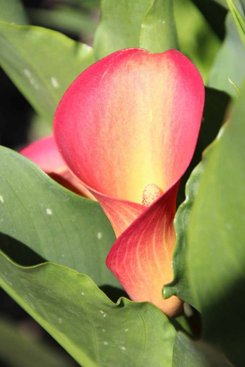 Tunnel de vente : Comment optimiser votre stratégie marketing pour maximiser vos conversions