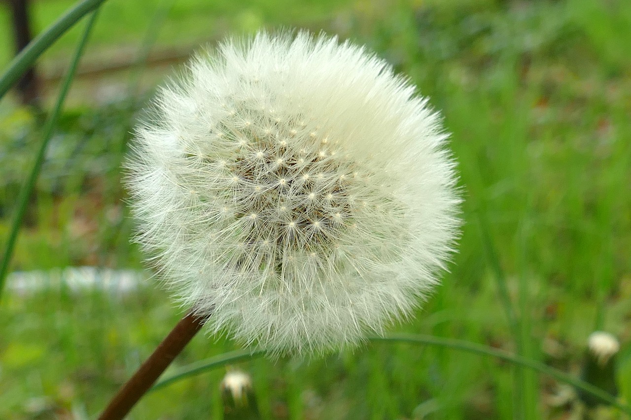 Répartition des leads : stratégies efficaces pour optimiser votre pipeline