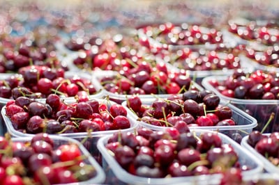 Les clés de l’expansion de marché pour les entreprises en croissance