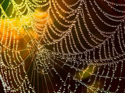 Comprendre les bases des web analytics pour optimiser votre site