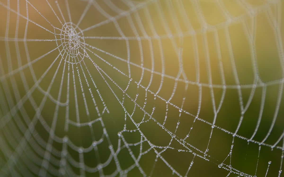 Comment améliorer votre visibilité web en 2025