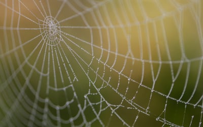 Comment améliorer votre visibilité web en 2025